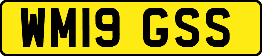 WM19GSS