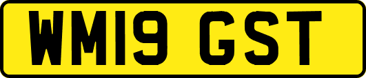 WM19GST