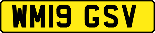 WM19GSV