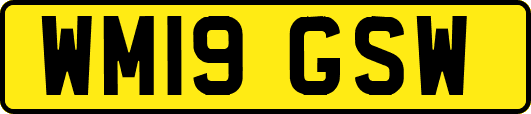 WM19GSW