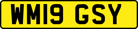 WM19GSY