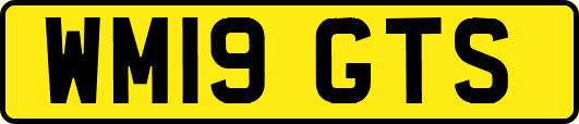 WM19GTS