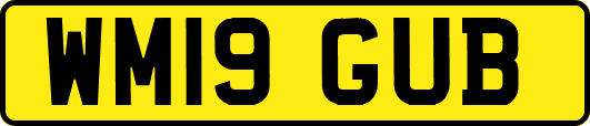 WM19GUB