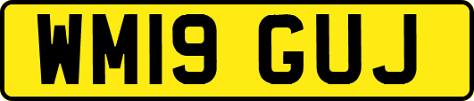 WM19GUJ