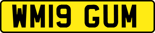 WM19GUM