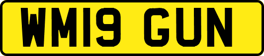 WM19GUN