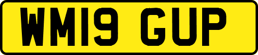 WM19GUP