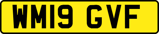 WM19GVF
