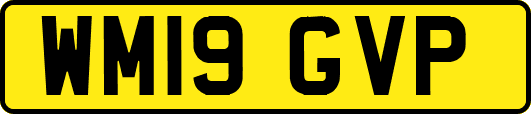 WM19GVP