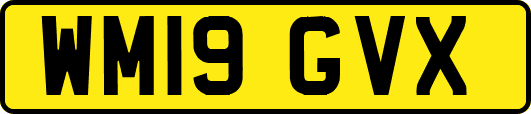WM19GVX