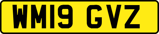 WM19GVZ