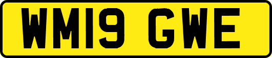 WM19GWE