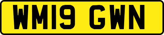 WM19GWN