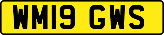 WM19GWS