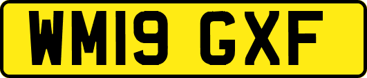 WM19GXF