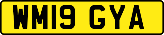 WM19GYA