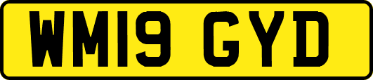 WM19GYD