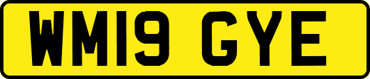 WM19GYE