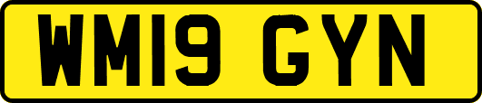 WM19GYN
