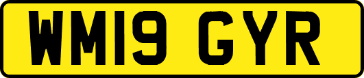 WM19GYR