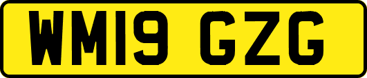 WM19GZG