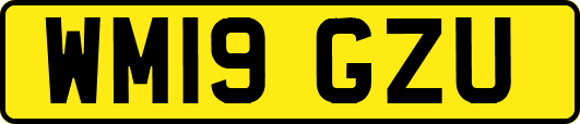 WM19GZU