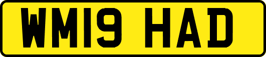 WM19HAD