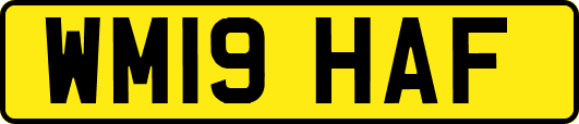 WM19HAF