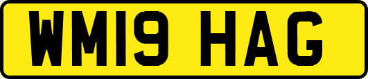 WM19HAG
