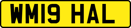 WM19HAL