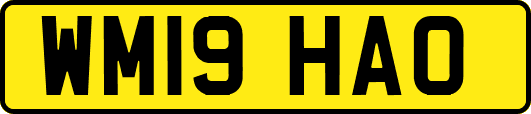 WM19HAO