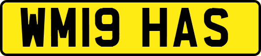 WM19HAS