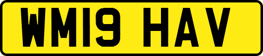 WM19HAV