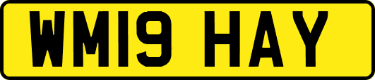 WM19HAY