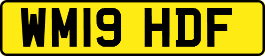 WM19HDF