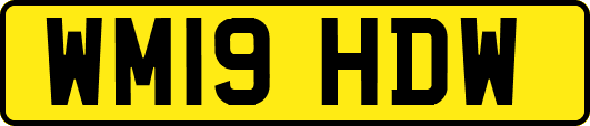 WM19HDW