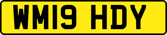 WM19HDY
