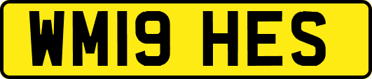 WM19HES