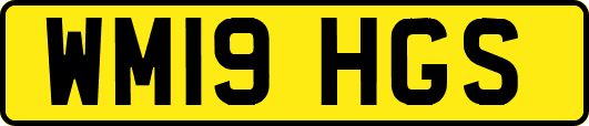 WM19HGS