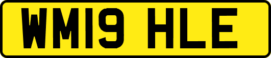 WM19HLE