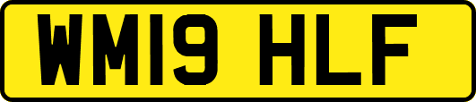 WM19HLF