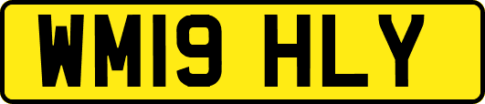 WM19HLY