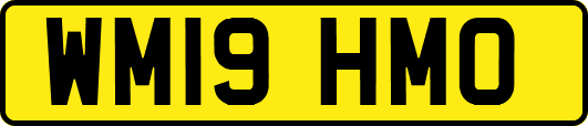 WM19HMO