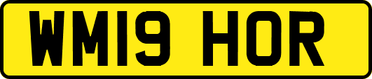 WM19HOR