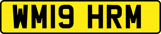 WM19HRM