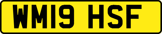 WM19HSF