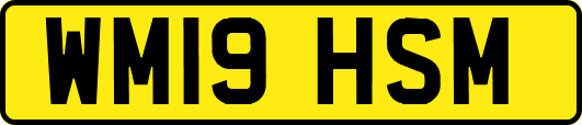 WM19HSM