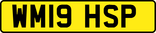 WM19HSP