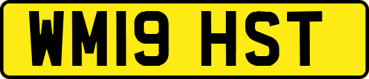 WM19HST