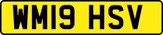 WM19HSV